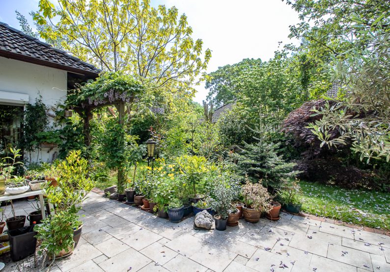 Blick in den Garten
